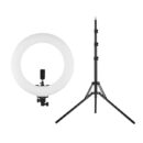 MJ36 RGB LED SOFT RING LIGHT